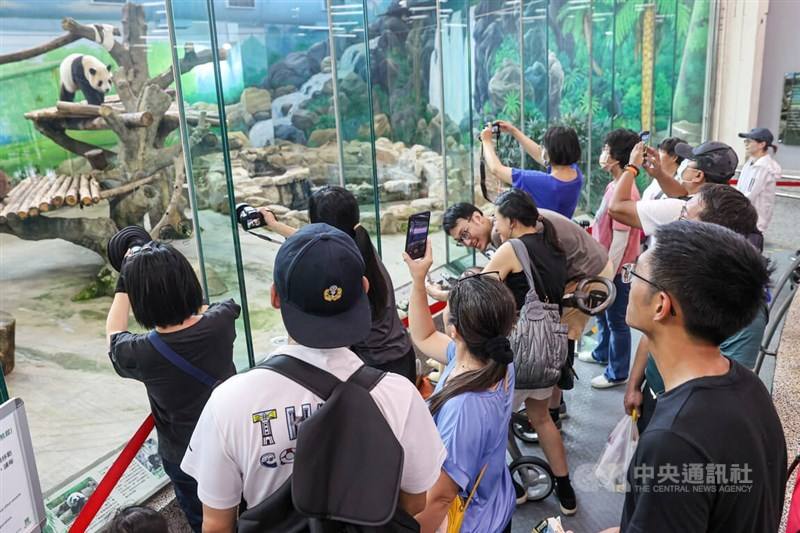 Taipei Zoo visitors take pictures inside the Giant panda enclosure