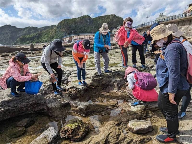 Visitors observe the intertidal ecology at a Keelung City coast in this undated photo. Photo courtesy of Keelung City Government March 31, 2024