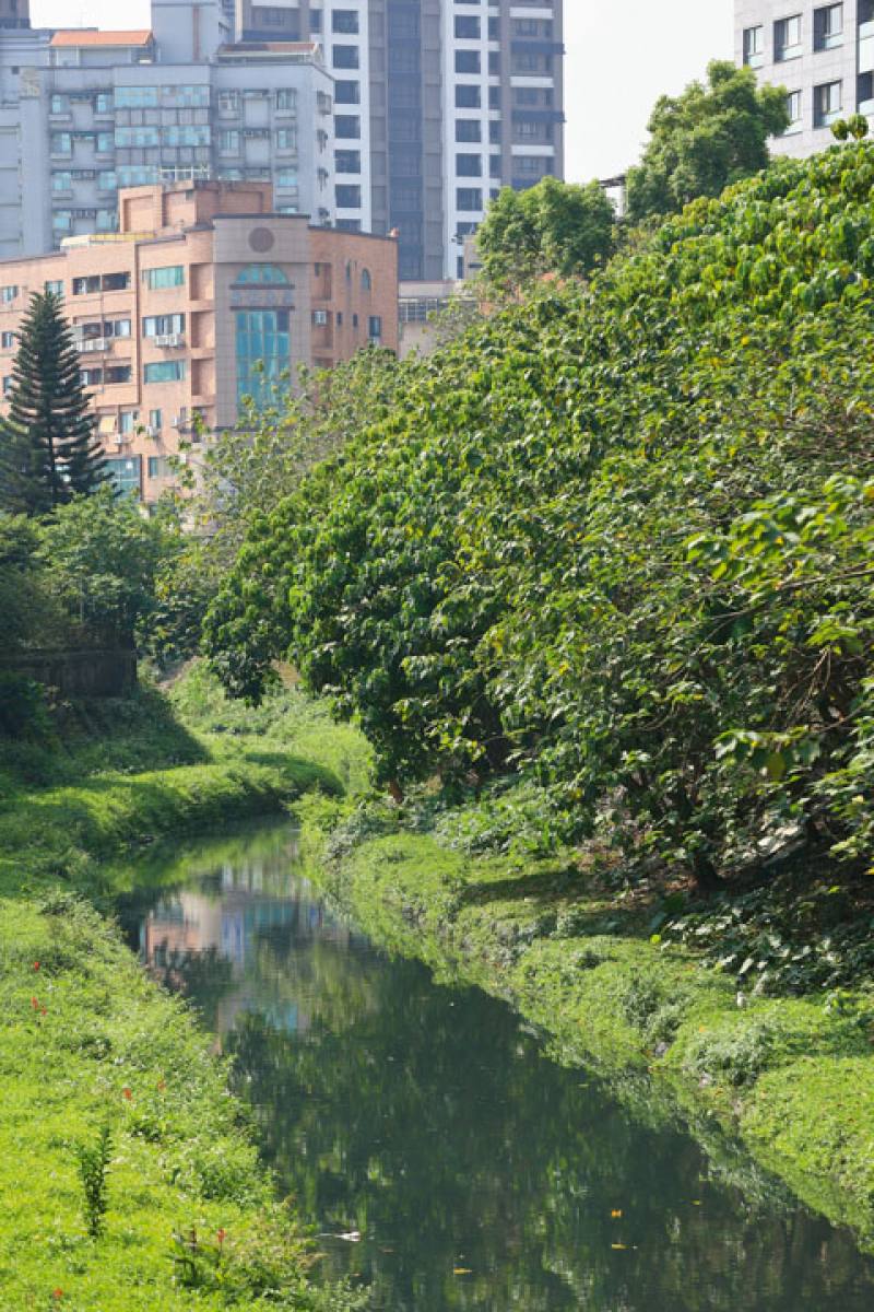 Finding new ways to peacefully coexist with rivers is part of a sustainable future.