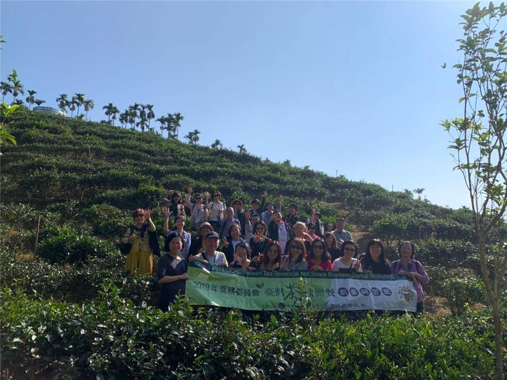 Trainees visit a tea plantation