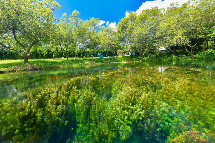 花蓮縣光復鄉拉索埃湧泉生態園區中共有6處湧泉，曾被選為最美的秘境，隨著陽光變化折射出不同藍色的1號湧泉，有著藍色眼淚的美名。（拉索埃湧泉生態農場提供）