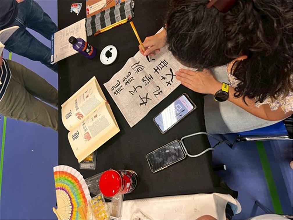 Alishan Institut Nürnberg/Erlangen e.V., Gemany