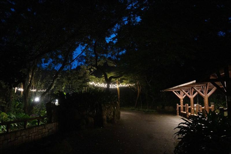 Taipei Zoo will extend its nighttime opening hours to 9 p.m. during the summer vacation for eight consecutive Saturdays from July 5 to Aug. 23. Photo courtesy of Taipei Zoo,