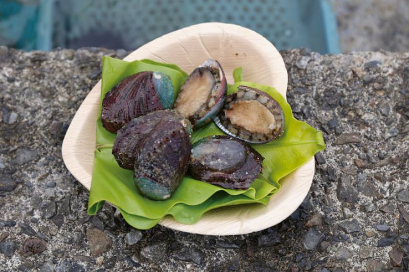 By working closely with the natural environment, Nice Store uses sustainable methods to produce abalone and sea grapes, bringing the authentic flavors of the Northeast Coast to customers.​​