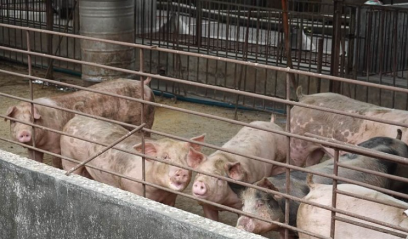 CNA file photo for illustrative purposes only