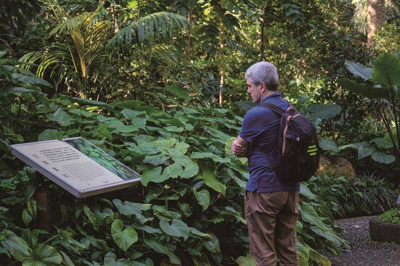 In any botanical garden, we not only come into contact with flora, but also learn to better understand the world and the evolution of culture, becoming more grounded in the process.​​